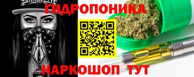меф Гатчина