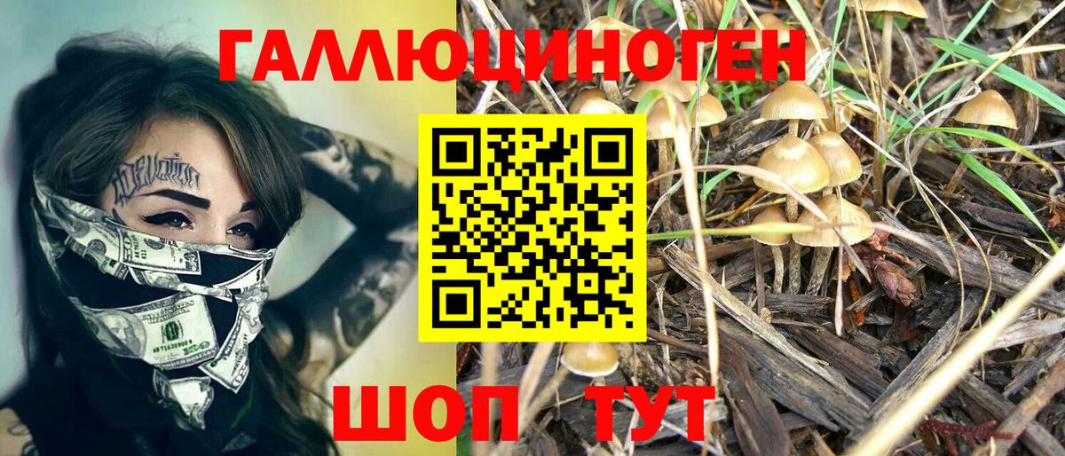 Галлюциногенные грибы Cubensis  Вход с VPN  Нижнекамск 