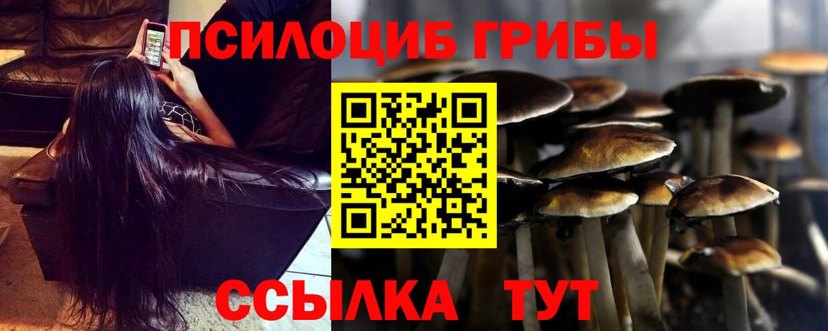 Псилоцибиновые грибы мухоморы Нижнекамск