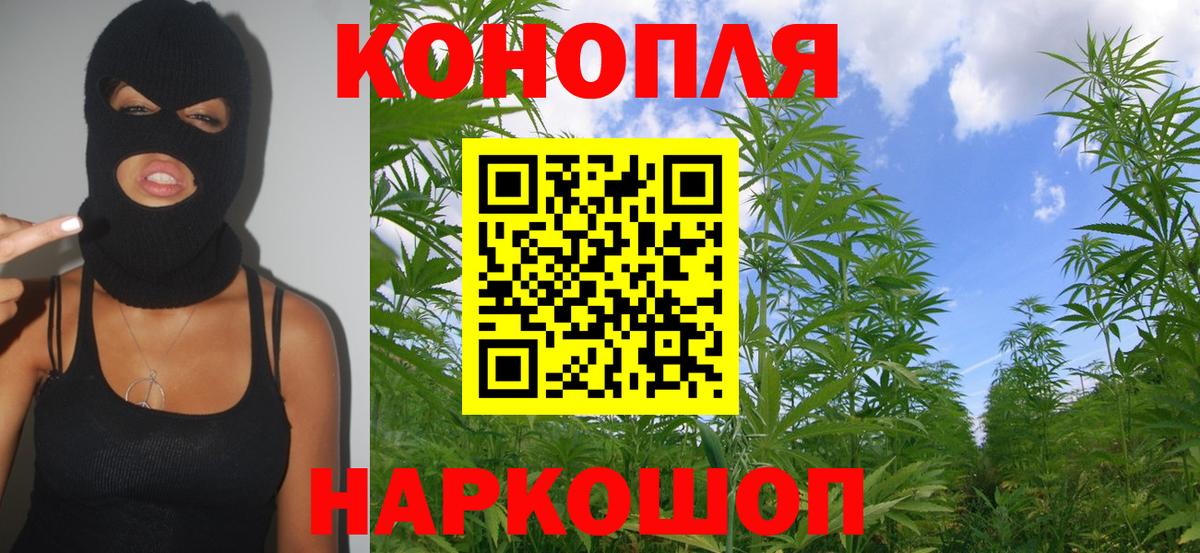 Каннабис OG Kush  Вход с VPN  Нижнекамск  Бошки Шишки Amnesia 